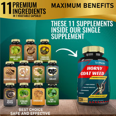 Herbal blend illustration with ginseng, tribulus, ashwagandha, maca