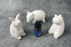 Terra Distribution passive stone diffuser tapir design ideal for compact home spa aroma