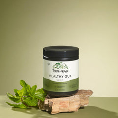 Scooper with Terra Origin Healthy Gut powder