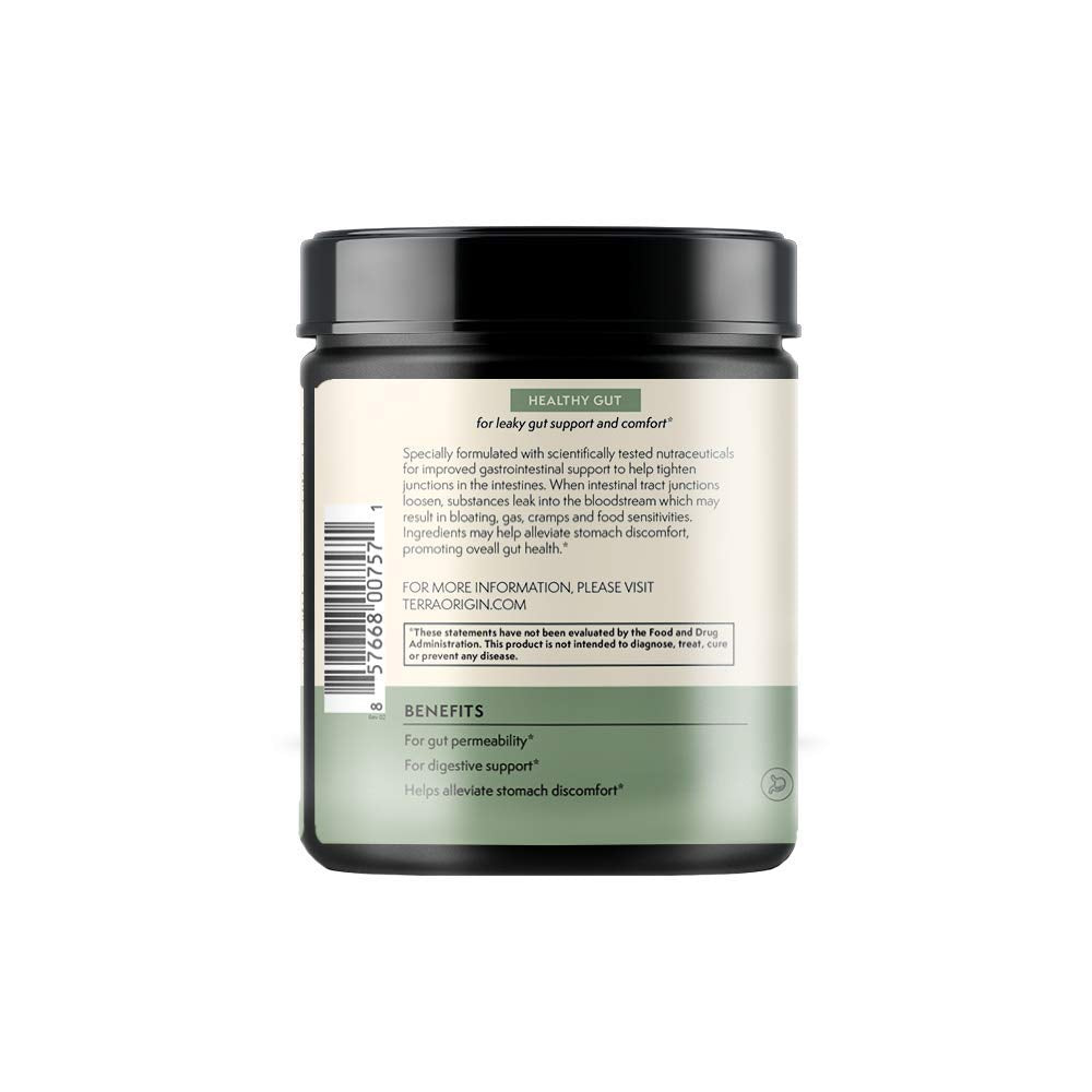 Close-up of mint-flavored Terra Origin Healthy Gut powder texture