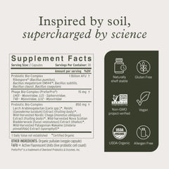 Graphic illustrating synbiotic gut health concept
