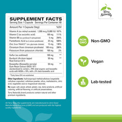 Graphic illustration of key nutrients: Vitamin A, Vitamin C, and Zinc