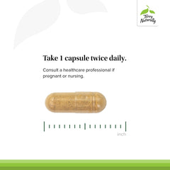 Ingredient list visual for Terry Naturally Stomach & Intestinal Relief