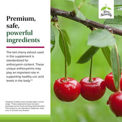 Vegan tart cherry capsules