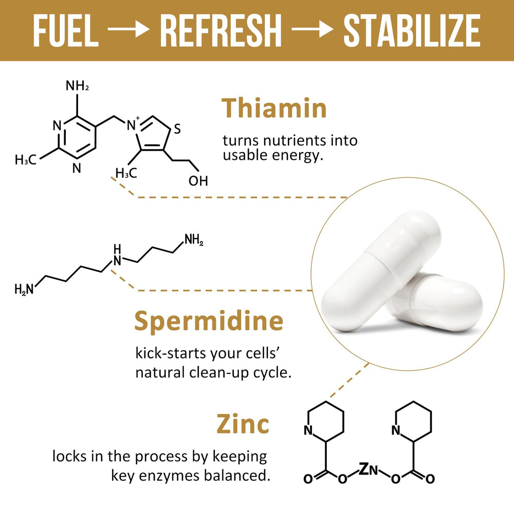 Zinc and vitamin B1 highlighted in Thalacy formula for everyday support