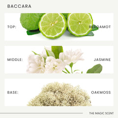 Graphic showing top, middle, and base notes: Bergamot, Sandalwood, Oud