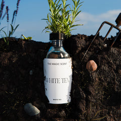 Highlight of Lily, Sandalwood and Musk notes