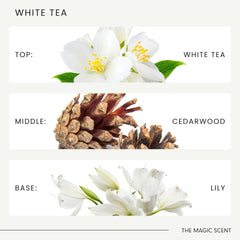 Artistic visualization of fragrance notes: White Tea, Cedarwood, Vanilla, Amber