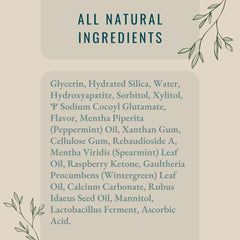 Vanilla mint flavor elements with mint leaves and vanilla