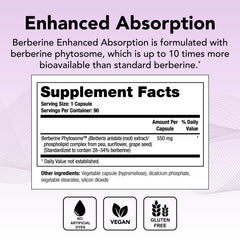 Theralogix Berberine capsules close-up, showcasing easy-to-swallow tablets.