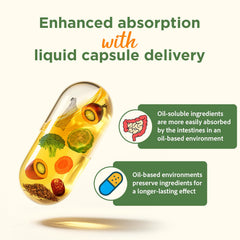 Third-party tested ingredients for purity and potency