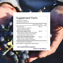 Quercetin supplement component image