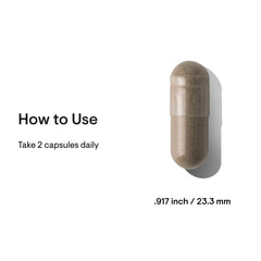 Ingredients include Korean red ginseng, lion's mane, and Greek mountain tea