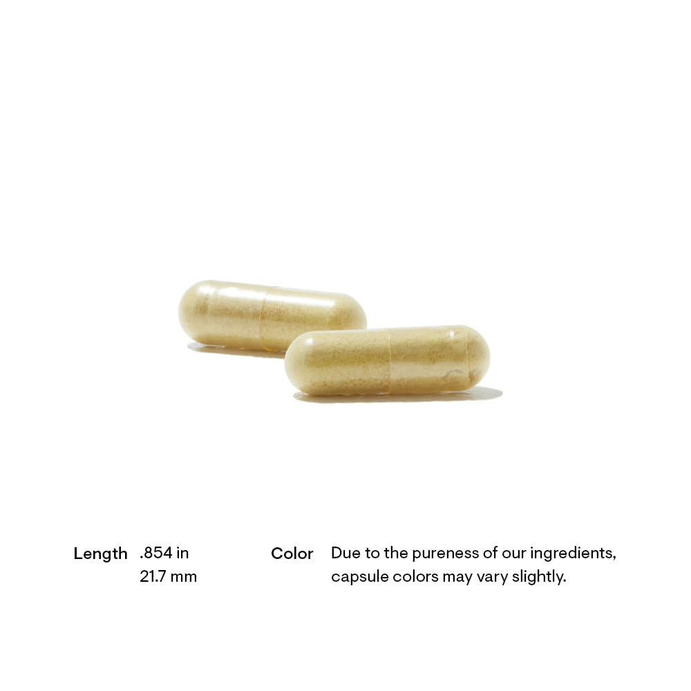 Front view of Thorne Pancreatic Enzymes bottle with 180 capsules