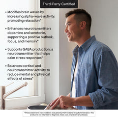 THORNE Theanine graphic illustrating alpha-wave support for focus