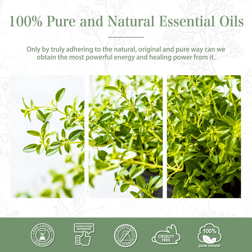 Label detail of thyme essential oil bottle