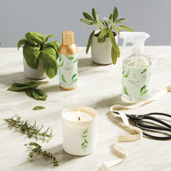 Lifestyle shot of Thymes Fresh-Cut Basil mist in a home setting