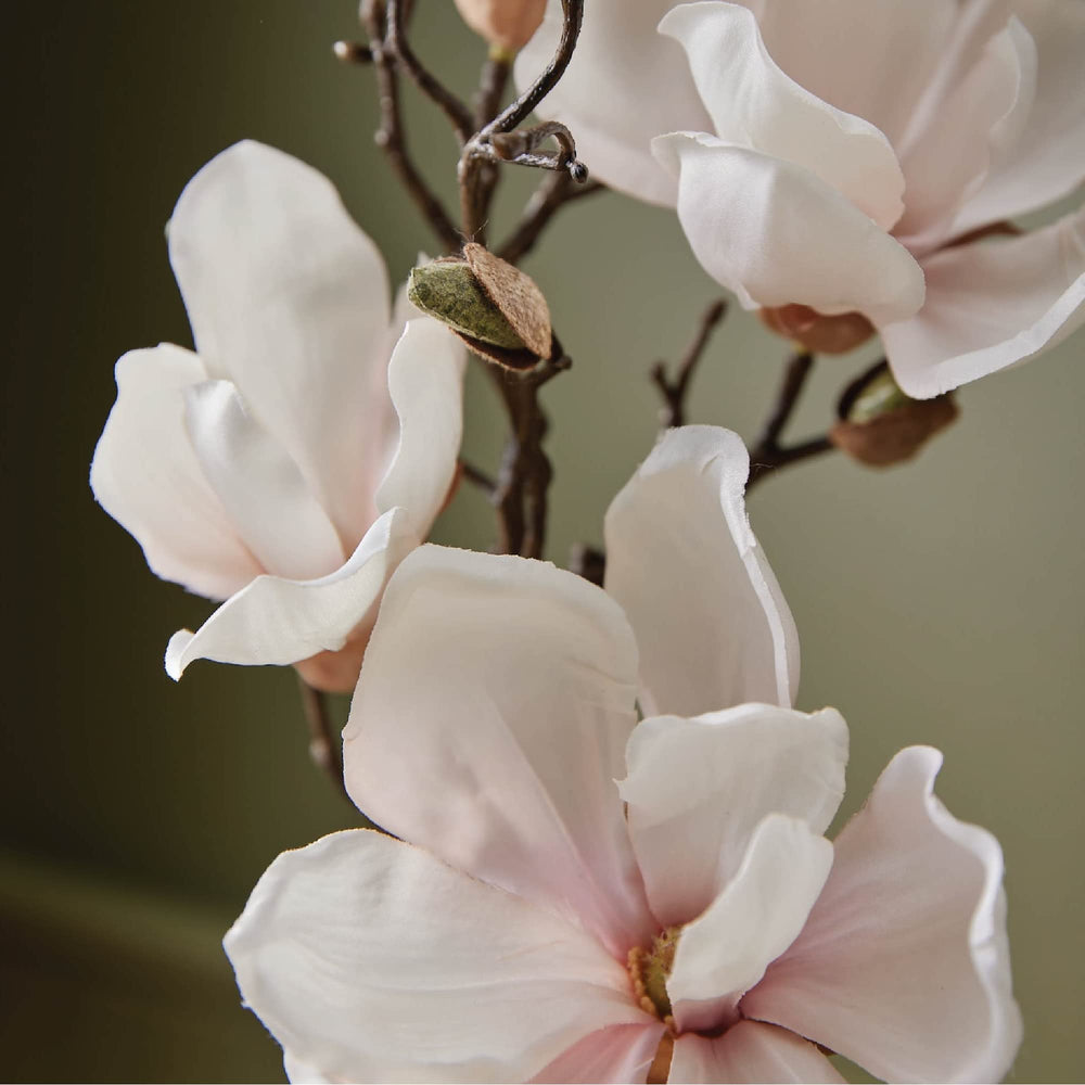 Magnolia Willow room spray in a bathroom setting
