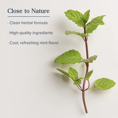 Thymol, eucalyptus, menthol and mint ingredients