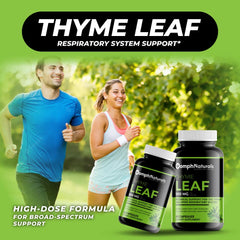 Close-up of Thymus vulgaris leaf extract 900mg per capsule