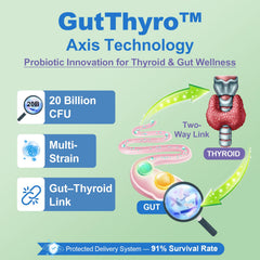 GutThyro probiotic matrix imagery with B. longum BB536 and L. rhamnosus GG