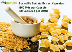 Ayurvedic Boswellia Serrata herb graphic