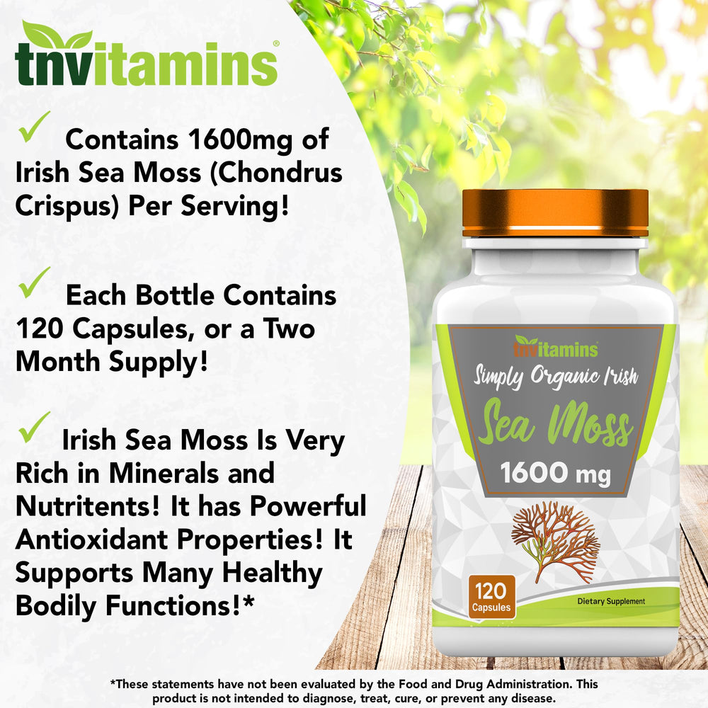 Sea Moss antioxidant properties