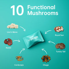 Assorted mushroom gummies including Reishi Cordyceps Chaga