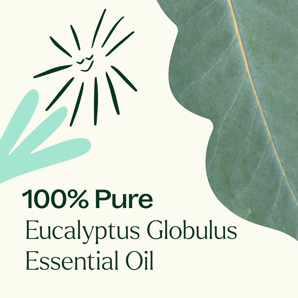 Top view of eucalyptus globulus oil bottle and label