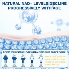 Liposomal NAD+ formulation graphic