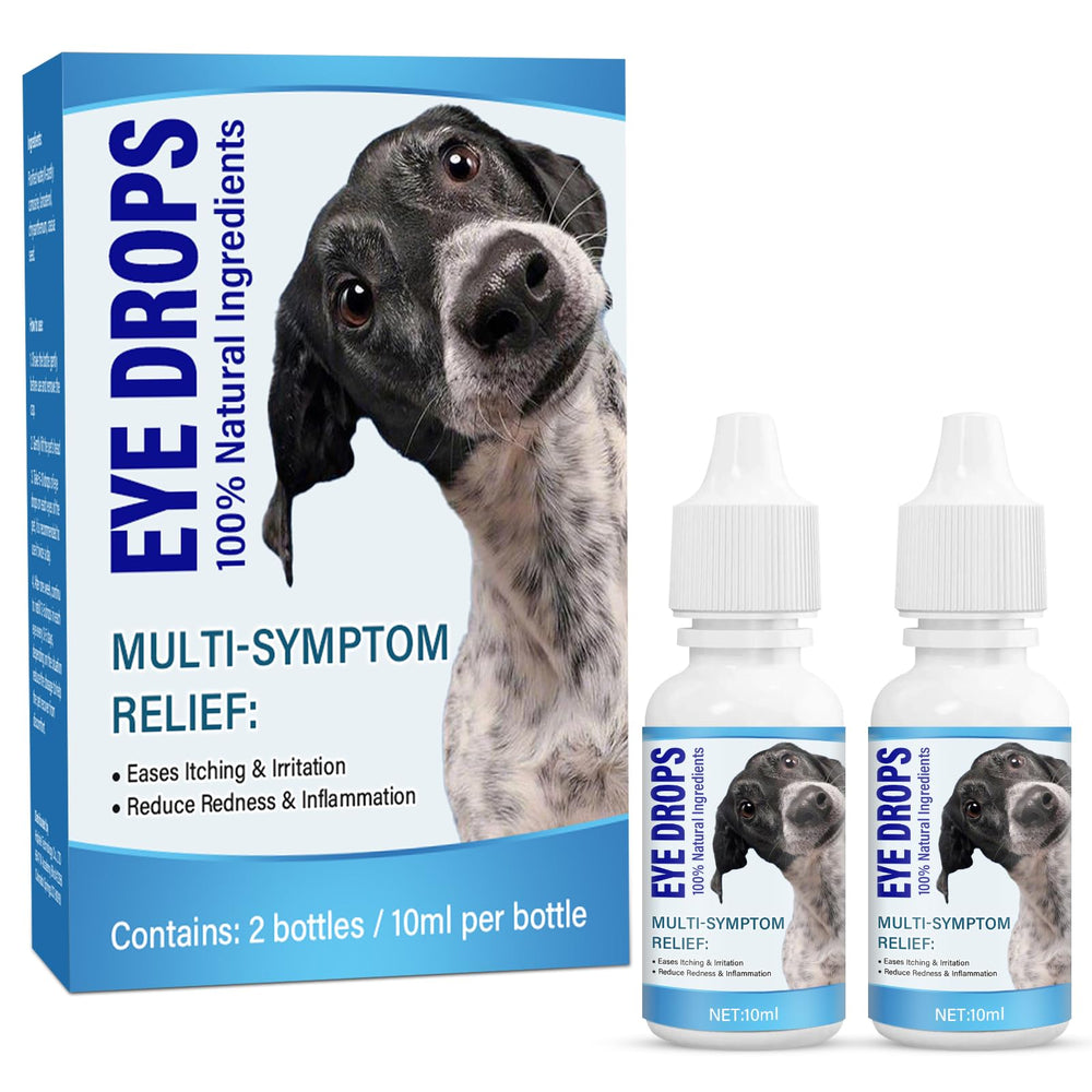 Healthy smile and confident social interaction