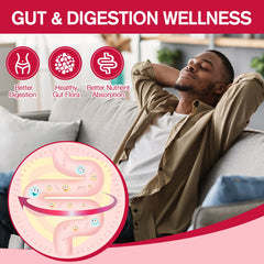 Fiber ingredients graphic: psyllium husk, inulin, chia seeds, apple cider vinegar