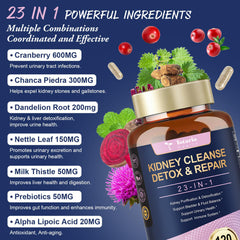 Illustration of cranberry and chanca piedra ingredients