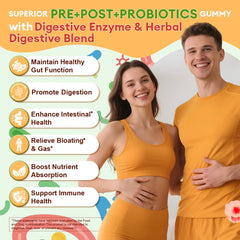 Graphic showing Prebiotics, Probiotics, Postbiotics, and Digestive Enzymes for gut support