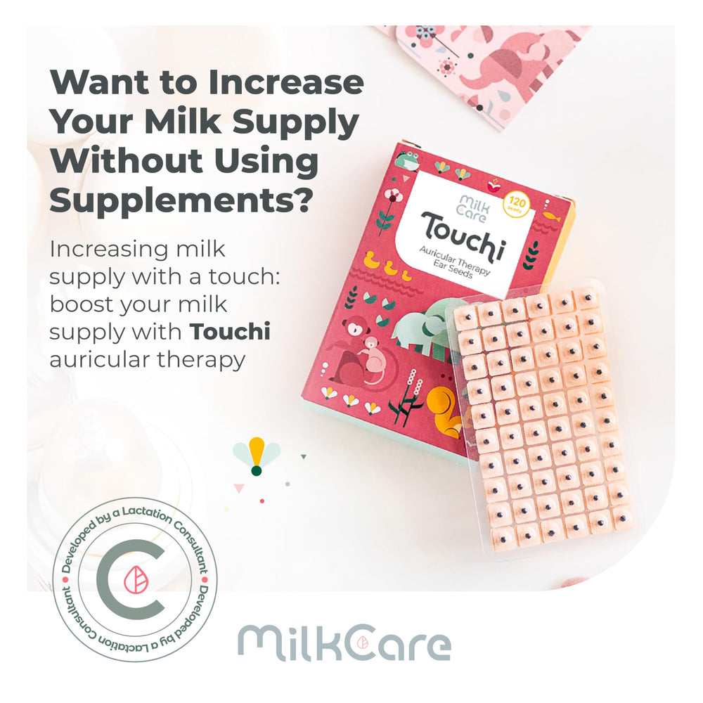 Close-up of Touchi ear seeds applying acupuncture points for milk production