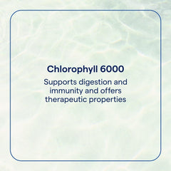 Close-up of mint-flavored chlorophyll label
