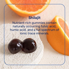 Close-up of ingredients and minerals in Trace Minerals Shilajit Gummies