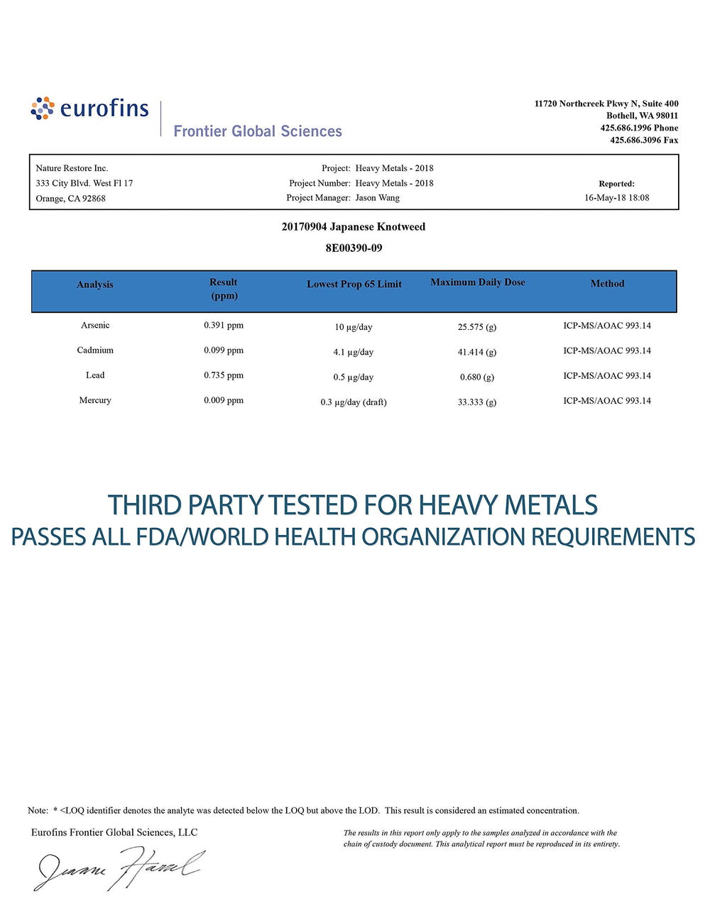 Graphic illustrating trans-resveratrol content in knotweed