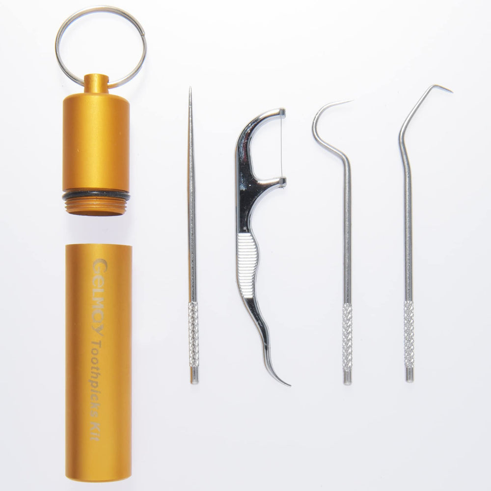 Travel dental kit portable with holder case