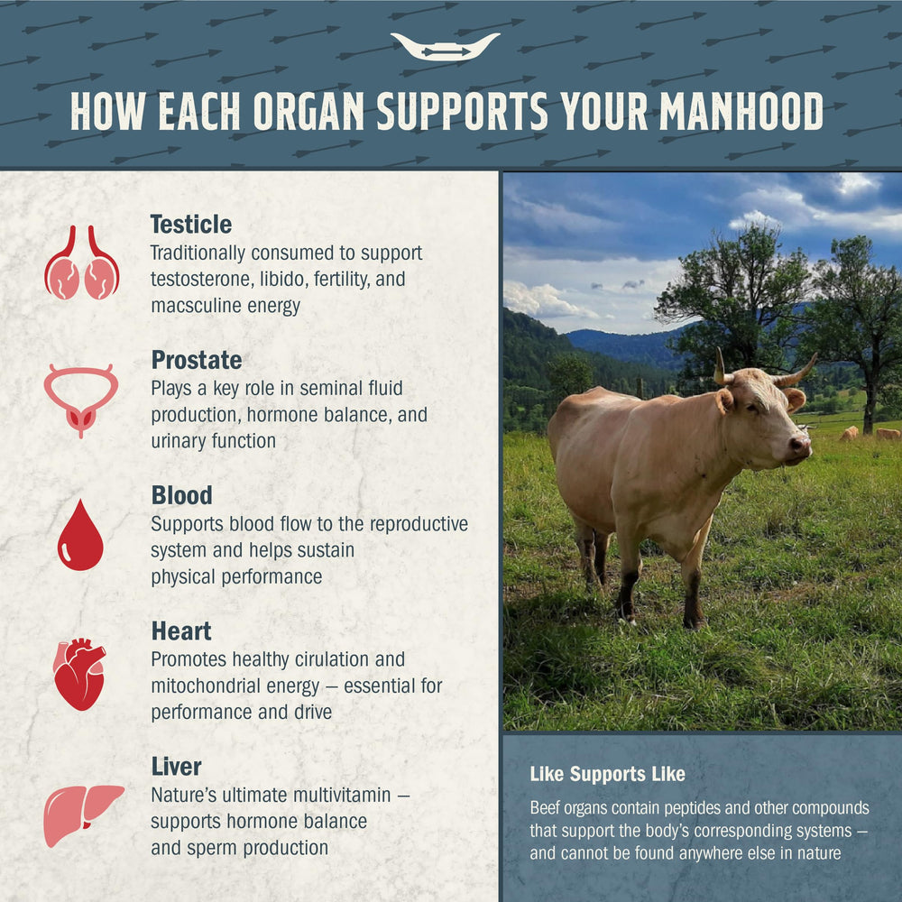 Freeze-dried, nutrient-dense whole-food organ nutrients