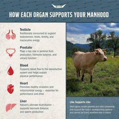 Freeze-dried, nutrient-dense whole-food organ nutrients