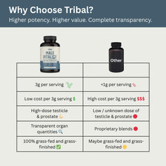 CoQ10, heme iron, vitamin A and B12 among ingredients