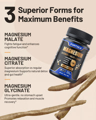 Gentle digestion and high absorption magnesium glycinate emphasis