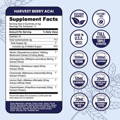 Illustration of ingredients: ashwagandha and reishi mushrooms