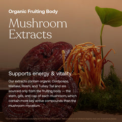 Fermented chelated minerals included in the formula