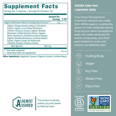 Close-up of organic fruiting body mushrooms used in the blend