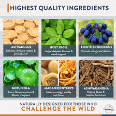 Daily energy and immune support benefits illustrated