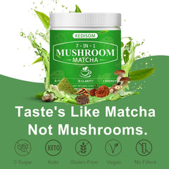 Turkey Tail mushroom close-up