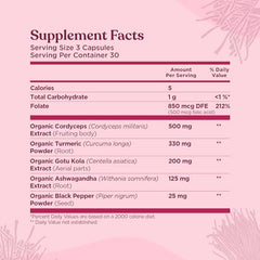 Turmeric and Ashwagandha ingredients for brain health