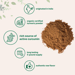 Close-up of active curcuminoids in turmeric powder